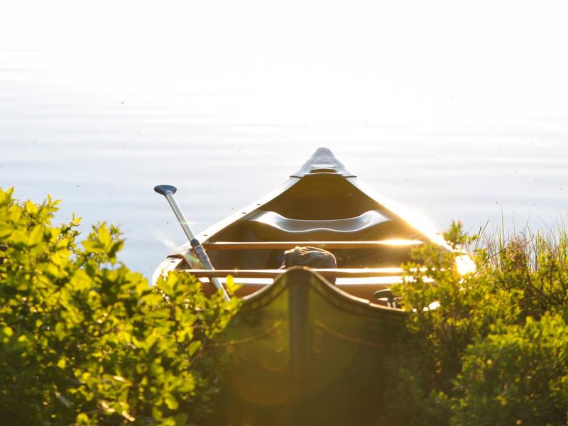 android screenshot 1